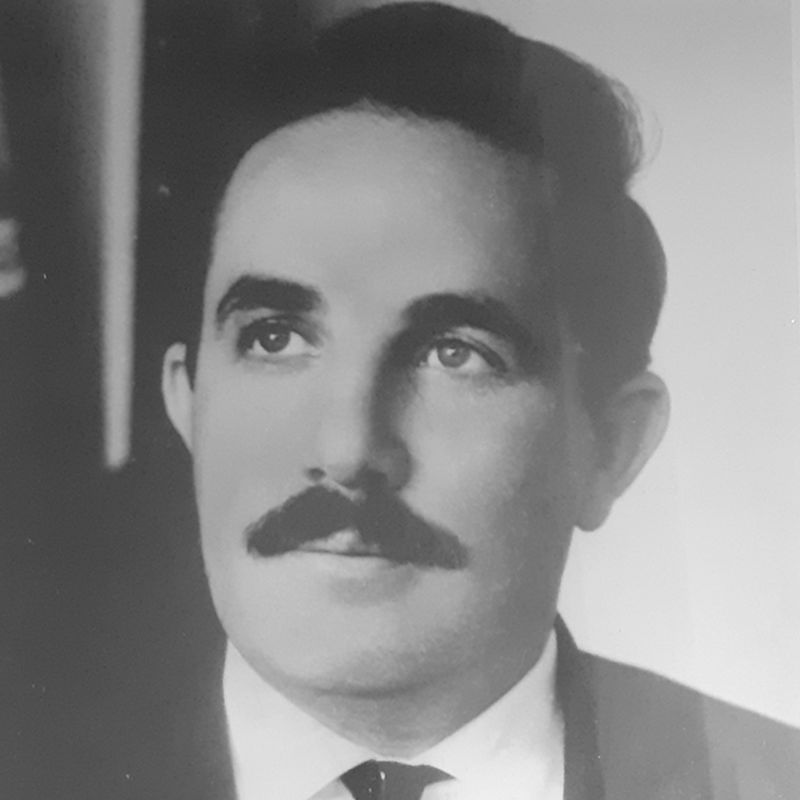 JOSÉ DE MELO GOMES